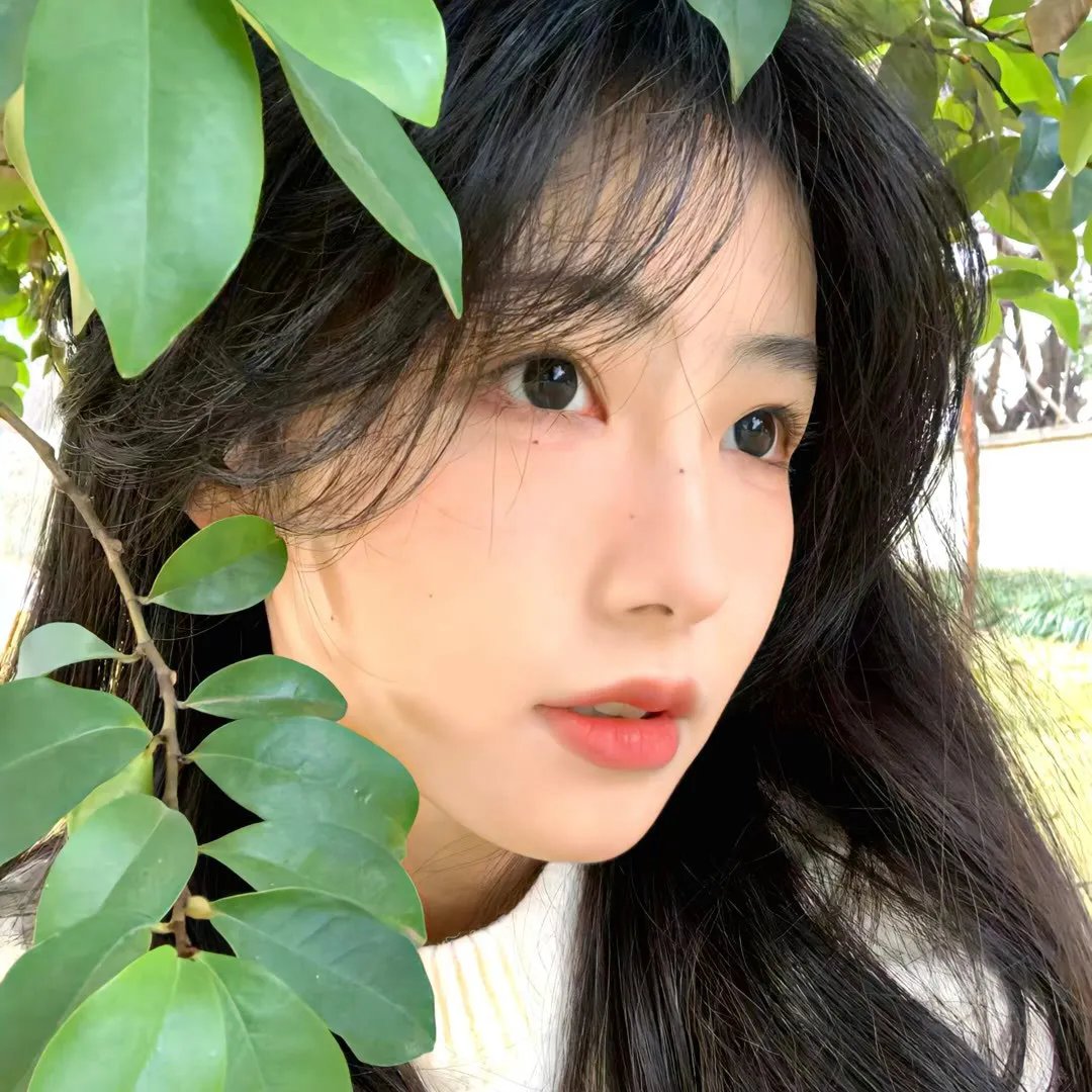 阿里安娜